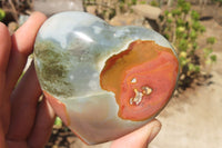 Polished Polychrome Jasper Hearts x 5 From Madagascar