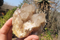 Natural Smokey Quartz Clusters x 6 From Luena, Congo