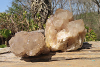 Natural Smokey Quartz Clusters x 6 From Luena, Congo