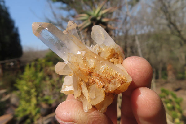 Natural Clear Quartz Crystals x 70 From Madagascar