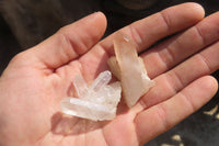 Natural Clear Quartz Crystals x 70 From Madagascar