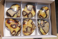 Polished Septerye Hearts x 6 From Mahajanga, Madagascar