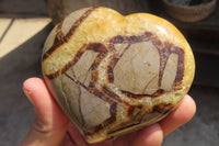 Polished Septerye Hearts x 6 From Mahajanga, Madagascar