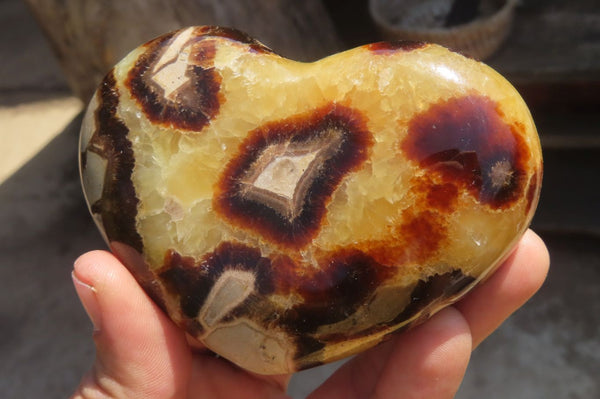 Polished Septerye Hearts x 6 From Mahajanga, Madagascar