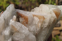 Natural Bladed Barite Specimens x 5 From Congo