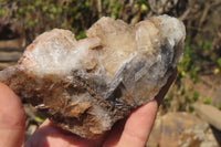 Natural Bladed Barite Specimens x 5 From Congo