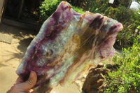 Polished Watermelon Fluorite Slice x 1 From Uis, Namibia