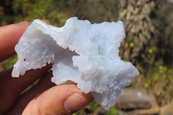 Natural Etched Blue Chalcedony Specimens x 35 From Malawi