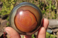 Polished Polychrome Jasper Spheres x 3 From Madagascar