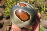 Polished Polychrome Jasper Spheres x 3 From Madagascar