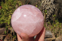 Polished Star Rose Quartz Sphere x 1 From Antsirabe, Madagascar