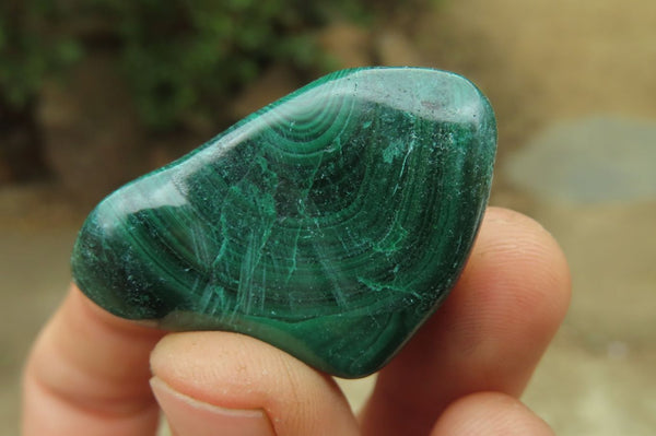 Polished Flower Banded Malachite Free Forms x 35 From Congo