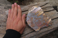 Polished On One Side Nguni Jasper Specimens x 2 From Prieska, South Africa