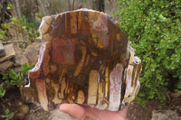 Polished On One Side Nguni Jasper Specimens x 2 From Prieska, South Africa