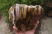 Polished On One Side Nguni Jasper Specimens x 2 From Prieska, South Africa