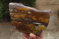 Polished On One Side Nguni Jasper Specimens x 2 From Prieska, South Africa