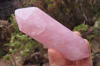 Polished Double Terminated Rose Quartz Points x 3 From Madagascar