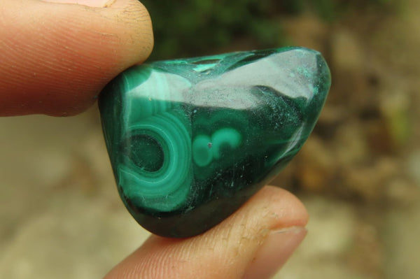 Polished Flower Banded Malachite Free Forms x 70 From Congo