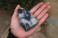 Polished Dendritic Agate Standing Free Forms x 6 From Madagascar