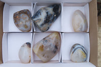 Polished Dendritic Agate Standing Free Forms x 6 From Madagascar