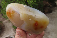 Polished Dendritic Agate Standing Free Forms x 6 From Madagascar