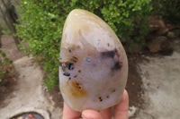 Polished Dendritic Agate Standing Free Forms x 6 From Madagascar