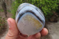 Polished Dendritic Agate Standing Free Forms x 6 From Madagascar