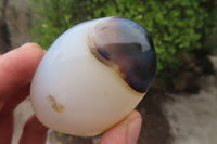 Polished Dendritic Agate Standing Free Forms x 6 From Madagascar