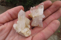 Natural Mixed Quartz Clusters / Crystals x 70 From Madagascar