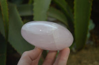 Polished Rose Quartz Standing Free Forms x 3 From Madagascar