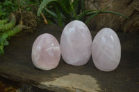 Polished Rose Quartz Standing Free Forms x 3 From Madagascar