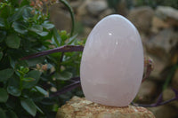 Polished Rose Quartz Standing Free Forms x 3 From Madagascar