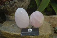 Polished Rose Quartz Standing Free Forms x 3 From Madagascar