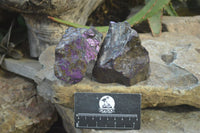 Natural Metallic Purpurite Cobbed Specimens x 5 From Erongo, Namibia