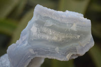 Natural Etched Blue Chalcedony Specimens x 6 From Nsanje, Malawi