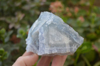 Natural Etched Blue Chalcedony Specimens x 6 From Nsanje, Malawi