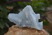 Natural Etched Blue Chalcedony Specimens x 6 From Nsanje, Malawi