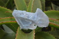 Natural Etched Blue Chalcedony Specimens x 6 From Nsanje, Malawi