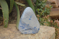 Polished Blue Spinel Spotted Quartz Standing Free Forms 1 x From Madagascar