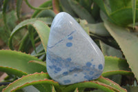 Polished Blue Spinel Spotted Quartz Standing Free Forms 1 x From Madagascar