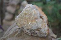 Natural Limonite Quartz Clusters x 4 From Solwezi, Zambia