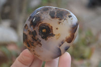 Polished Dendritic Agate Standing Free Forms x 6 From Madagascar