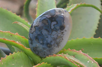 Polished Dendritic Agate Standing Free Forms x 6 From Madagascar