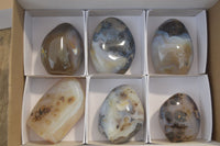 Polished Dendritic Agate Standing Free Forms x 6 From Madagascar