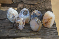 Polished Dendritic Agate Standing Free Forms x 6 From Madagascar