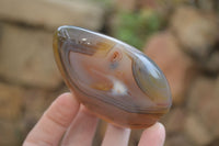 Polished Dendritic Agate Standing Free Forms x 6 From Madagascar