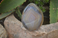 Polished Dendritic Agate Standing Free Forms x 6 From Madagascar