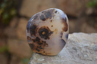 Polished Dendritic Agate Standing Free Forms x 6 From Madagascar