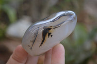 Polished Dendritic Agate Standing Free Forms x 6 From Madagascar