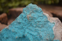 Natural Botryoidal Chrysocolla Specimen x 2 From Kulukuluku, Congo